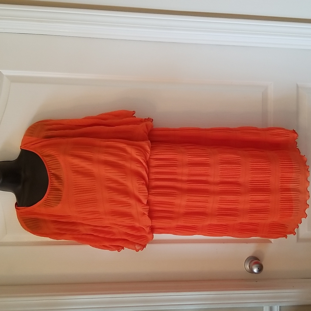 Signature by Robbie Bee Orange Chiffon Dress - Picture 3 of 6